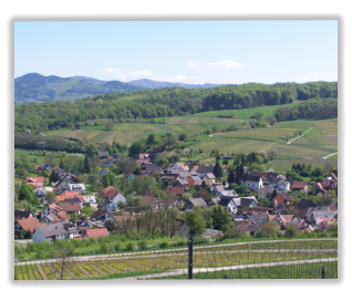 Blick auf Mauchen Richtung Osten